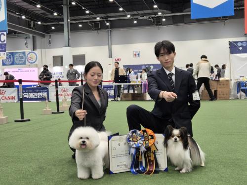 중부대학교 반려동물사육학전공·동물보건학과, ‘제95회 전국핸들링컨테스트’ 석권