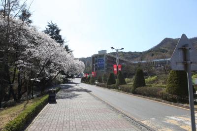 봄기운 가득! 중부대학교 충청캠퍼스를 소개합니다