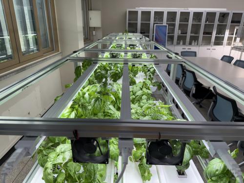 스마트팜 수경재배실