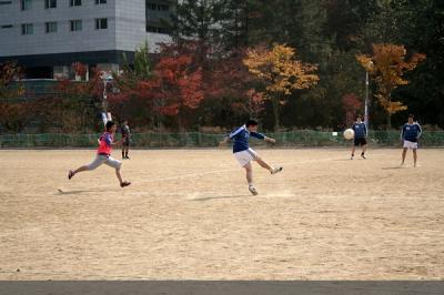 체육대회 축구 예선전