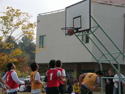 체육대회 경기 모습