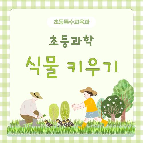 초등과학 식물 키우기